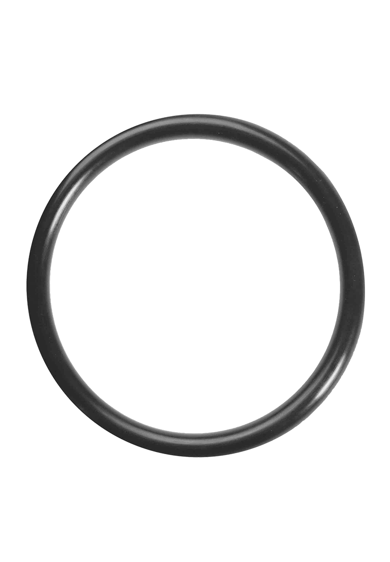 SP 209 - o-ring for BRAVO SUP SP 209 - o-ring for BRAVO SUP